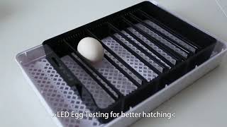 Hot sale 12 egg incubator