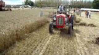 Moissoneuse lieuse sur Massey Ferguson 35