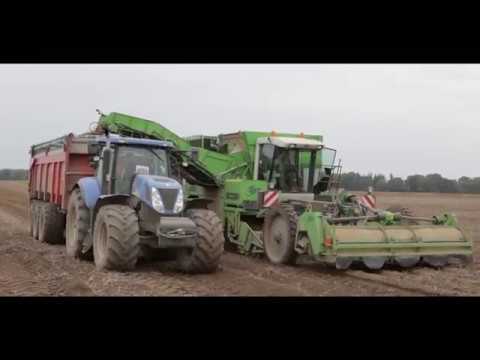 Potato harvest in Farm Frites Poland Dwa