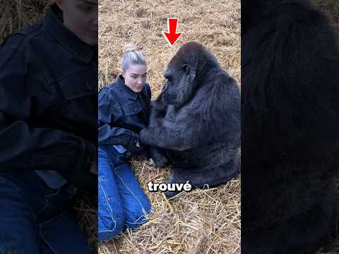 Cette Fille Trouvé Le Meilleur Ami Shorts Gorille 