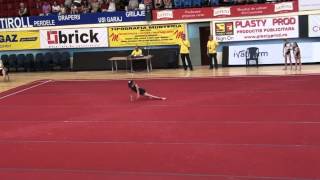 Andra Rusu Fx Focsani