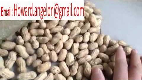 Groundnut process machine color sorter machine