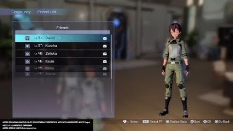 Getting duel wield SAO Fatal Bullet