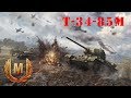 World of Tanks // Мастер на Т-34-85М // 8 фрагов // 13600 WN8