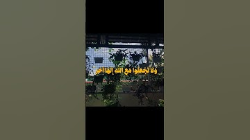 قرآن كريم بصوت جميل جدا للنوم راحة نفسية لا توصف 🎧