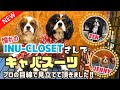 【INU-CLOSET】さんで憧れのキャバスーツをプロの目線で見立てて頂きました♡