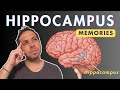 Hippocampus and memories