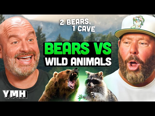 Bears vs. Wild Animals | 2 Bears, 1 Cave Ep. 202