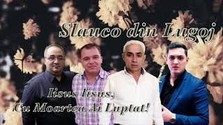 Slauco din Lugoj cu moartea ai luptat