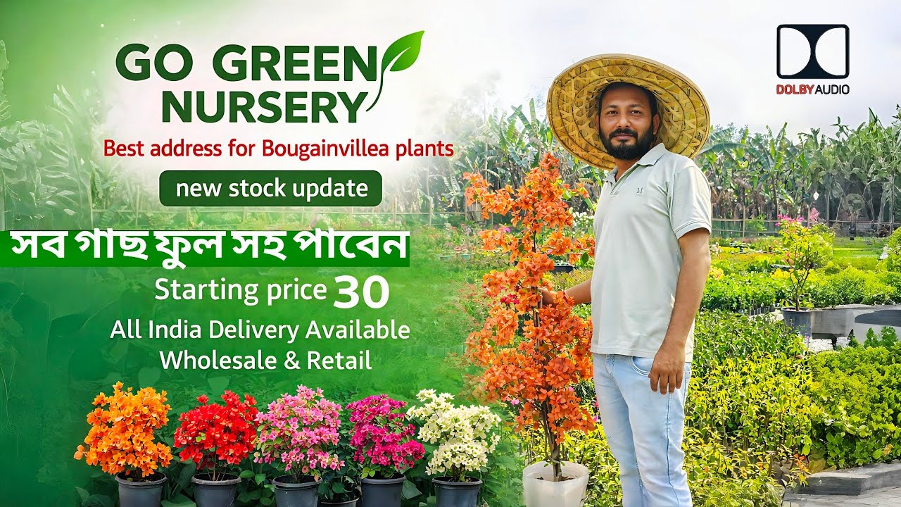 Go Green নার্সারির নতুন স্টক আপডেট ফুল সহ গাছ একদম কম দামে / Go Green Nursery new stock update