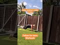 #shorts Yoga Flow #yogalates #yogaflow #moveyourbody #outdoorfitness #fitness #flowingyoga