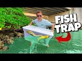 FISH TRAP Catches HYBRID EEL for AQUARIUM!! *Insane*