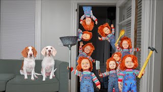 Dog vs Chucky Apocalypse Prank: Funny Dogs Maymo & Potpie vs Chucky Invasion