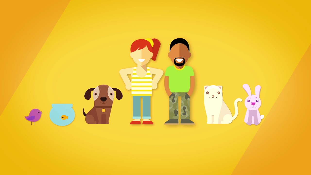 VetSupply – Easy to Shop at Discount Rates | Pet Food | Flea and Tick Treatment | Pet Care