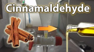 Cinnalmaldehyde Extraction - Cinnamon Oil from Bark with Steam Distillation