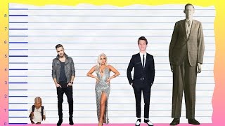 How Tall Is Liam Payne? - Height Comparison!