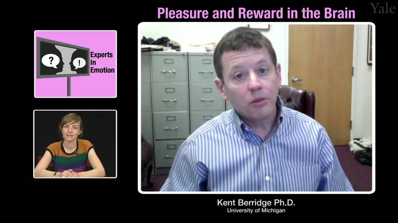 Experts in Emotion 8.2 -- Kent Berridge on Pleasure and Reward in the Brain