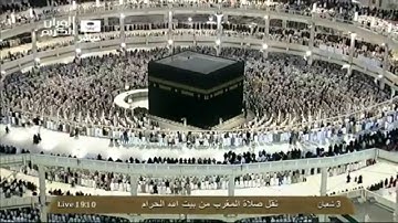 ۞ سورة غافر 51 - 60 ۞ مغرب 3 شعبان 1435هـ الشيخ فيصل غزاوي