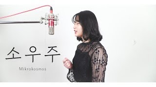 Video thumbnail of "BTS - Mikrokosmos (소우주) COVER"