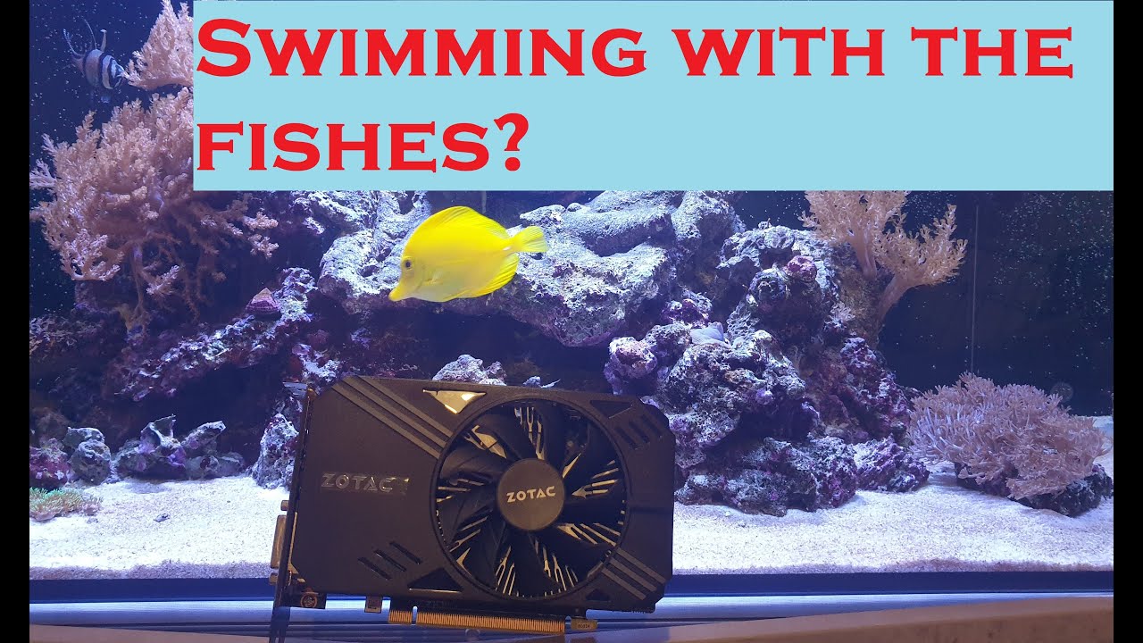 Zotac GTX 1060 6GB Mini - YouTube