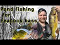 Peacock bass fishing in South Florida