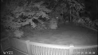 Mysterious Light Caught On Wyze Cam v3