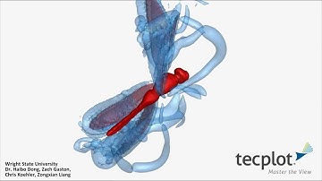 Tecplot 360 Simulation Example: Dragonfly Flight Physics (III)