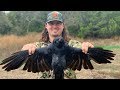 CROW Hunting! {Catch Clean Cook} Whole Crow on The Green Egg!