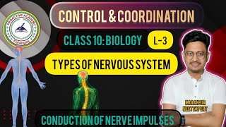 Types of Nervous System | Conduction of Nerve impulses | Control & Coordination Class 10 | Karan Sir