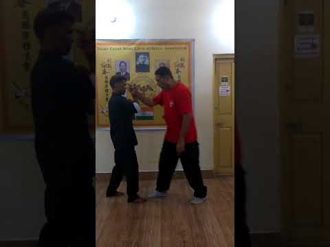 power generation sky factory 4 Sifu Joshi on structure and position of punch