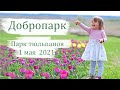 ДОБРОПАРК 1 май 2021
 Расцвели ли 🌷 тюльпаны? Что интересного в Добропарке? #добропарк #тюльпаны