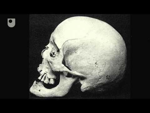 masked singer monster Seianti's Skeleton - Learning From Human Remains: Seianti's Skeleton (3/4)