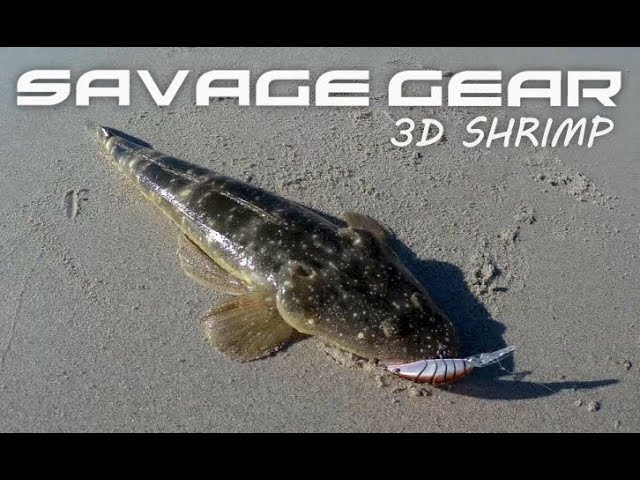 Flathead Candy - Savage 3D Shrimp Hard Body Lure Trials 