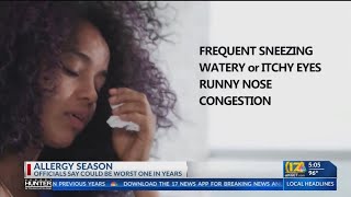 This allergy season could be the worst in years: health officials