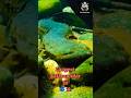 Sentient Lasagna 🦎 (Eastern Hellbender) #trending #viralvideo #shorts