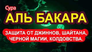 Сура Бакара, Защита От Джиннов, Шайтана, Черной Магии, Колдовства