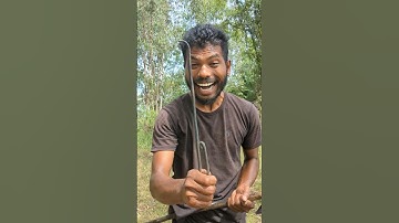 "Axe Hacks That Will Make You a Pro 🪓 #camping #survival #outdoors #bushcraft #lifehack