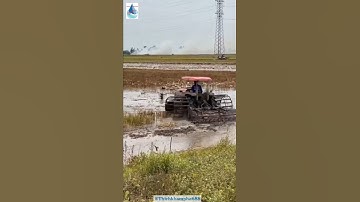 Cách người nông dân hiện đại tạo ra hạt gạo - Modern farmers create precious rice