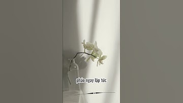 Người hiểu mình thì không cần giải thích  #baihoccuocsong #ýnghĩacuộcsống #cuocsong