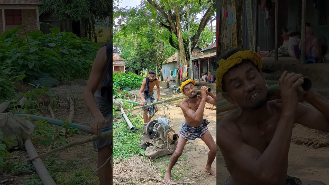 পিছন থেকে দুই নাম্বারি #funny #comedy #comedymove #realfools #fun
