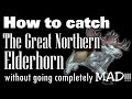 How to complete the Great Northern Elderhorn quest