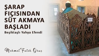 Şarap Fıçısından Süt Akmaya Başladı | Beşiktaşlı Yahya Efendi