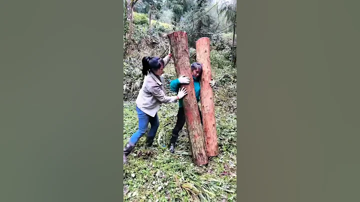用鏡頭記錄真實的伐木女孩的農村生活。 #伐木女孩 #記錄大山裡的農村生活  #countrylife #countrygirl - 天天要聞
