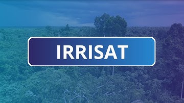 IRRISAT-MAROC : implement a system to help optimize irrigation water using satellite data