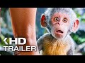 DORA AND THE LOST CITY OF GOLD All Clips & Trailers (2019)