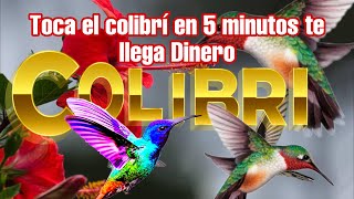 ¿Qué SIGNIFICA cuando VES un COLIBRÍ? Toca El Colibrí y En 5 Minutos Te Llaman Para Darte Dinero