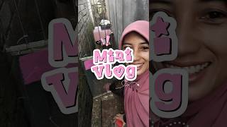 minifarm | ayam kampung | ayam elba