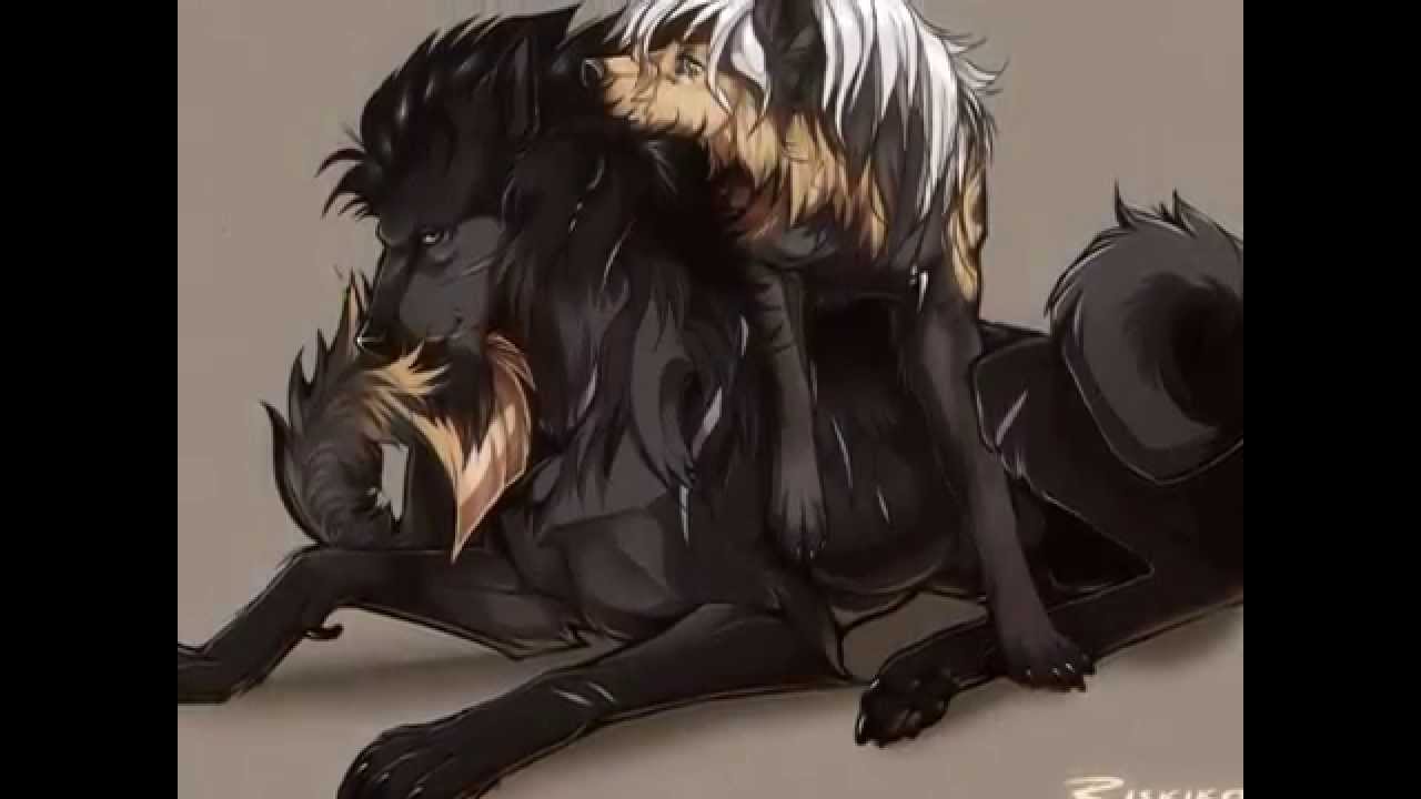Tray right and Sasha left are a wonderful couple  Cartoon wolf Anime  wolf drawing Canine art