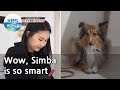 Wow, Simba is so smart (Dogs are incredible) | KBS WORLD TV 210324