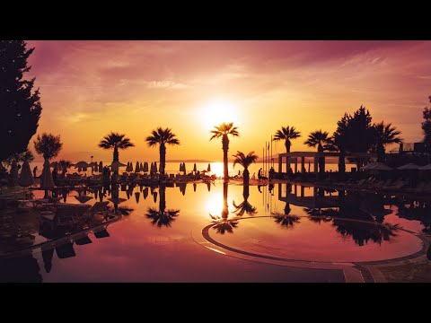 LiQWYD & Luke Bergs - Eternal Sunshine Saxophone Tropical House Beat, Vlog [FREENOCOPYRIGHT MUSIC]